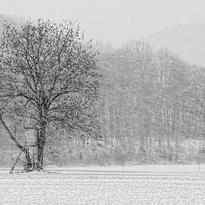 DSF1671 bw v1 v1 nff