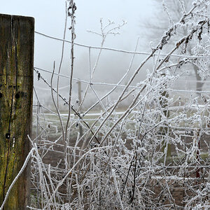 huch frost 2017