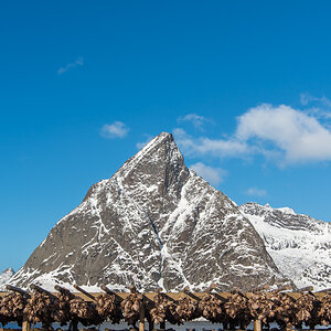 2017 Lofoten Reisebericht 121