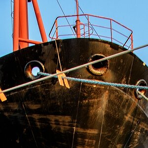 TZ Rattenstopper