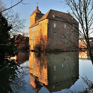 Schloss Trips