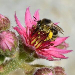 260616 D 094 NIK