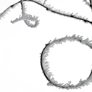 17XT0290