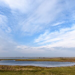comp  H001679