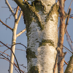 [No title]