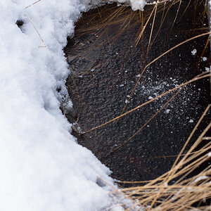 [No title]