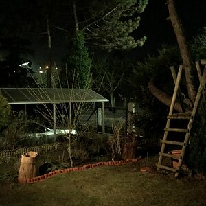 IMG 1500