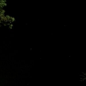 IMG 1508