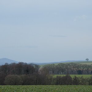 DSC 2172a