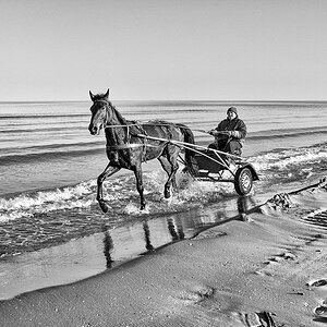 The Same Horse