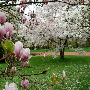 Frühling