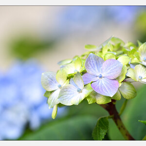 20170409 DSC 2928