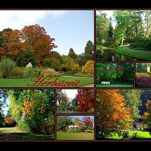 Herbst