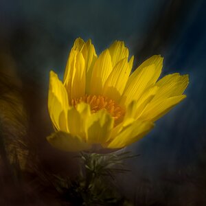 20170403 N72 6829 2a TWK 1