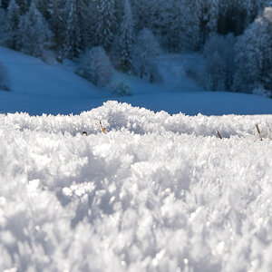 Winter 17 Fürmann Alm 0123 9
