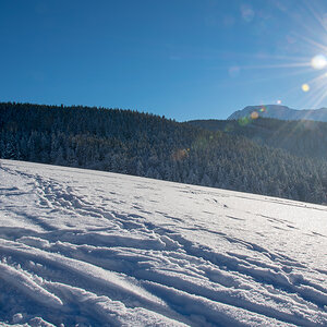 Winter 17 Fürmann Alm 0117 1