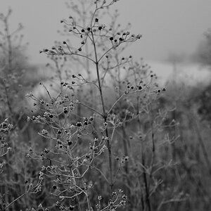DSC 9304sw
