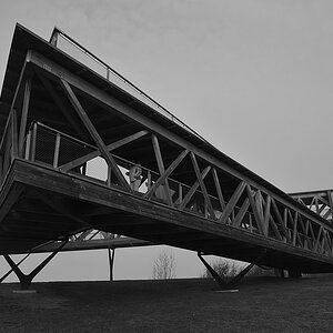 DSC 9311