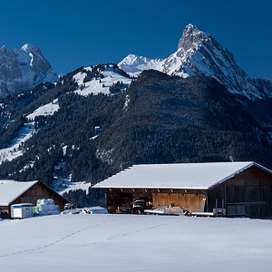 17F 4248