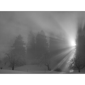 SchneePZ1 9556