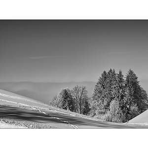 SchneePZ1 9559