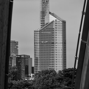 DSC 2625
