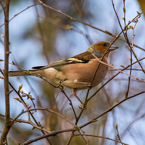 D72 3712 2