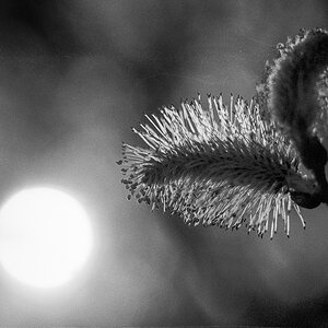 Frühling
