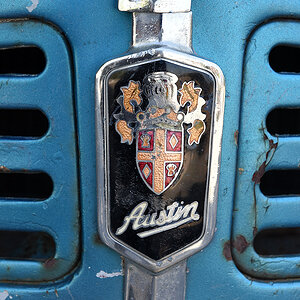 Austin
Colonia del Sacramento

s345 Austin 8906