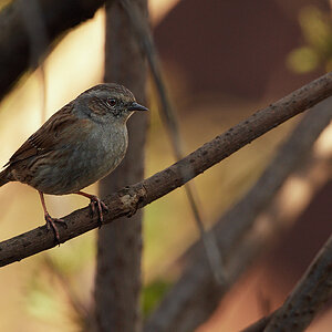 500 0880