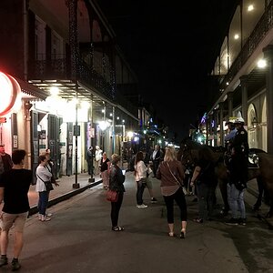 IMG 0351