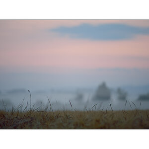 MorgenPZ1 2095