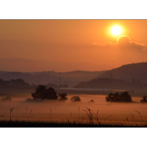 MorgenPZ1 2103
