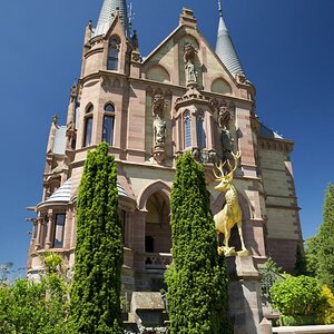 Burg Drachenfels