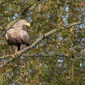 D50 0985 Kritischer SeitenblickIA 5 2017