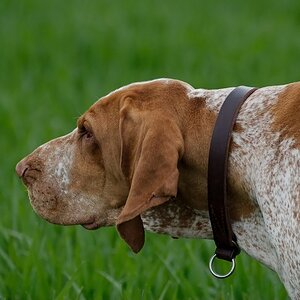 Unter Spannung