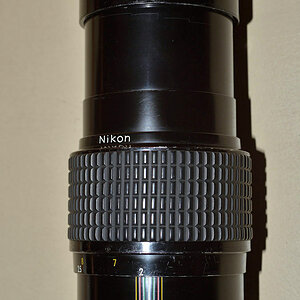 DSC 9438