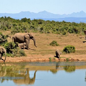 Südafrika Rundreise