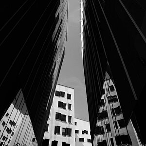 DSC 1482