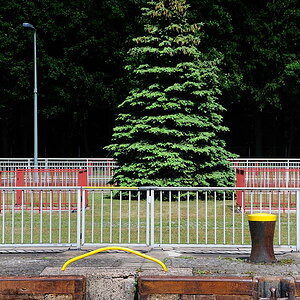 Tannenbaum