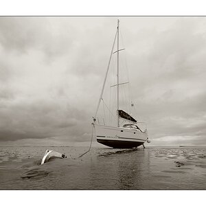 Hoch & Trocken I (SW-Wangerooge)