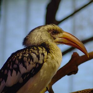 Im Tierpark