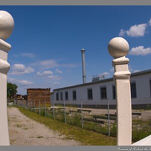 s DSC 0196