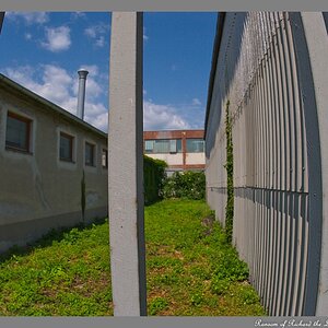 s DSC 0197