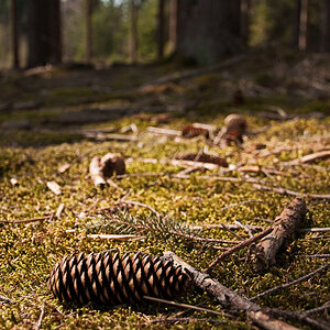 Ilkahöhe