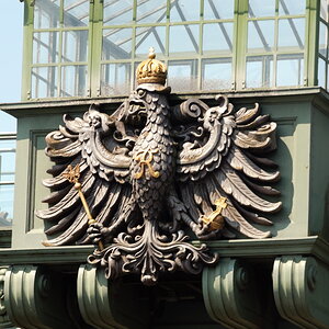 Der Adler