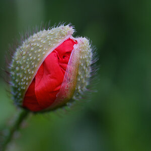 DSCF3437