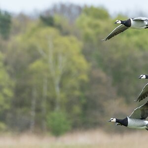 comp 20170508 DSC 5420