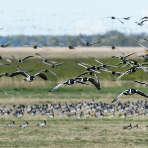 comp 20170509 DSC 5458