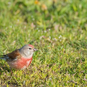 comp 20170511 DSC 5621